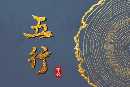 元亨紫薇命盘排盘|紫微命盘八字排盘|紫微盘排盘免费|易百查紫微排盘|八字桃花命盘查询